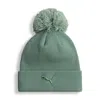 Puma Tonal Women's Beanie In Multi