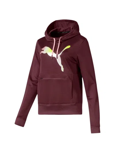 Puma Training Hoodie In Brown