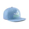 Puma Unisex Evolve Cap In Multi