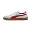 Puma Indoor Training Shoes
