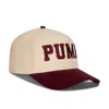 Puma Varsity Adjustable Hat In Brown