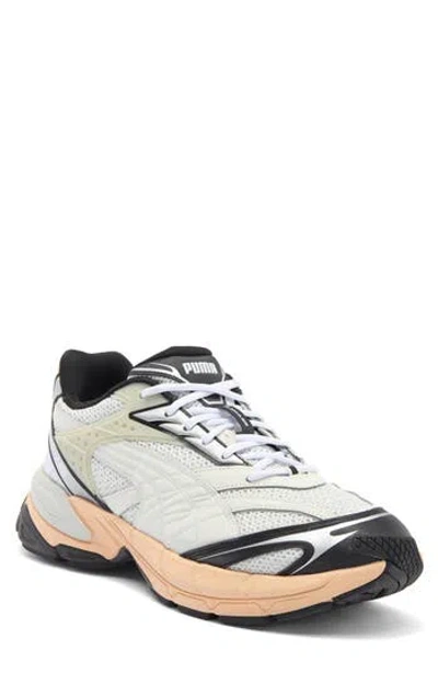 Puma Velophasis Technisch Man Sneakers Light Grey Size 13 Textile Fibers In Sedate Gray-cashew