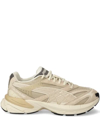 Puma Velophasis Trainers In Neutrals