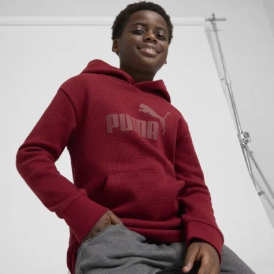 Puma Vibe Check Pack Big Kids' Hoodie In Intense Red