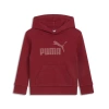 Puma Vibe Check Pack Little Kids' Hoodie In Intense Red