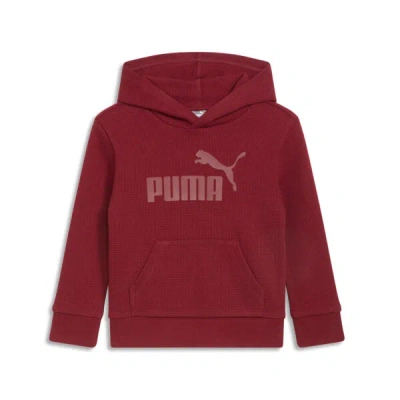 Puma Vibe Check Pack Little Kids' Hoodie In Intense Red