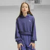 Puma Wardrobe Essentials Big Kids' Short Length Hoodie In Blue