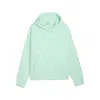 Puma Wardrobe Essentials Men's Fleece Hoodie In Green