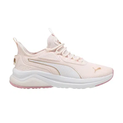Pre-owned Puma Wmns Amplifier 'jasmine Flower White Gold' | Pink | Women's Size 11