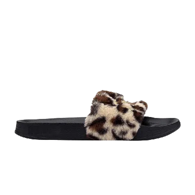 Pre-owned Puma Wmns Leadcat 'leopard Print' In Black