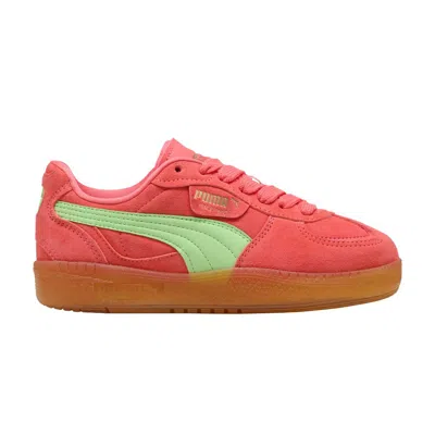 Pre-owned Puma Wmns Palermo Moda Xtra 'peach Frost Spring Fern Gum' | Pink | Women's Size 9