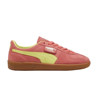Pre-owned Puma Wmns Palermo 'salmon Lime Sheen' | Pink | Women's Size 5.5