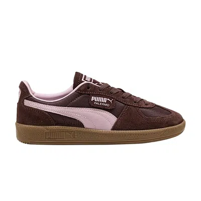 Pre-owned Puma Wmns Palermo Vintage 'chocolate Brown' | Women's Size 10