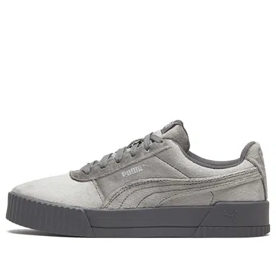 Puma (wmns)  Carina Velvet Grey/silver