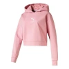 Puma (wmns)  Classic Logo Hoodie 'pink'