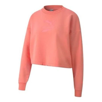 Puma (wmns)  Evide Logo Sweatshirt 'pink'
