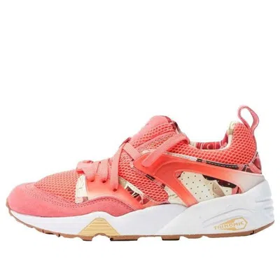 Puma (wmns)  God X Careaux Craphic Rose Pink