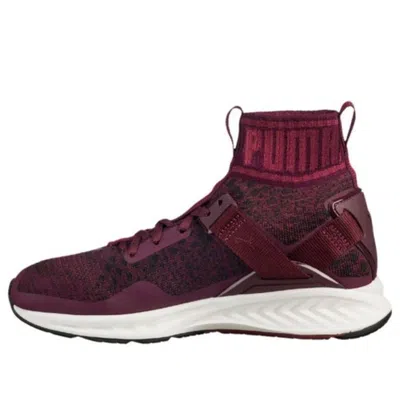 Puma (wmns)  Ignite Evoknit 'dark Red Cmft' In Burgundy