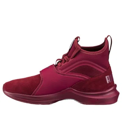 Puma (wmns)  Phenom Suede 'cordovan' In Burgundy