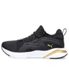 Puma (wmns)  Softride Rift Breeze 'black Team Gold' In Blue