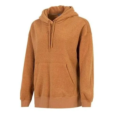 Puma (wmns)  Winterized Hoodie 'brown'