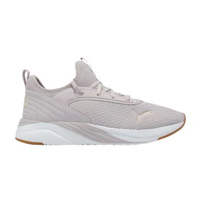 Pre-owned Puma Wmns Softride Ruby 'luxe Femme - Purple' | Women's Size 8.5