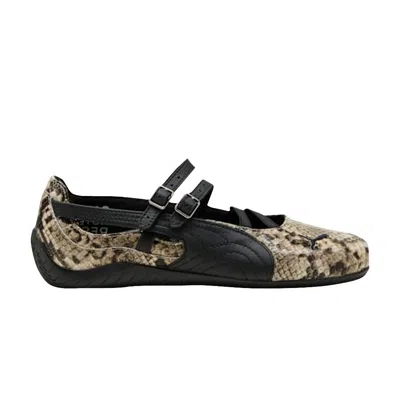 Pre-owned Puma Wmns Speedcat Ballet 'black Snake Print' | Women's Size 8.5