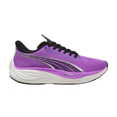 Pre-owned Puma Wmns Velocity Nitro 3 'pure Magenta' | Purple | Women's Size 9