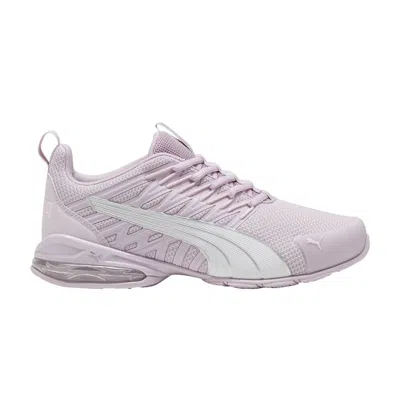 Pre-owned Puma Wmns Voltaic Evo 'grape Mist Silver' | Purple | Women's Size 6