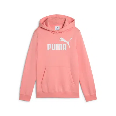 Puma Women's Essentials No. 1 Logo Hoodie In Pink