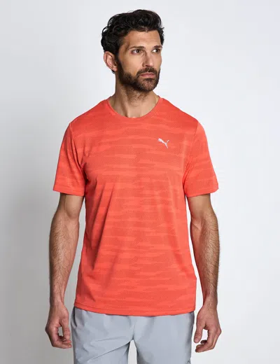 Puma Women's Pwrtrain Jacquard Short Sleeve T-shirt In Red