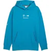 Puma X Bmw M Motorsport Graphic Hoodie In Blue