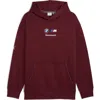 Puma X Bmw M Motorsport Graphic Hoodie In Burgundy