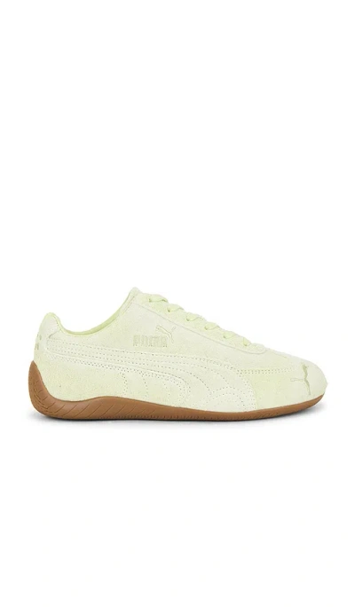 Puma X Danielle Cathari Speedcat Washed Sneaker In Green