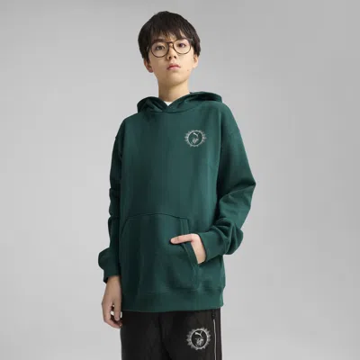 Puma X Harry Potter Big Kids' Relaxed Graphic Hoodie In Green