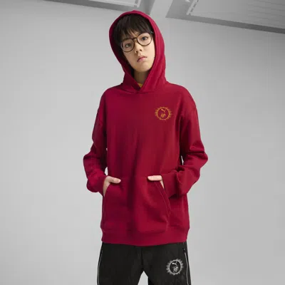 Puma X Harry Potter Big Kids' Relaxed Graphic Hoodie In Red