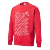 Puma X Michael Lau Graphic Long Sleeve Crew Neck Sweaters 'red'