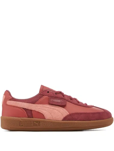 Puma X Palomo Palermo "team Regal Red/passionfruit/astro Red" Sneakers In Brown