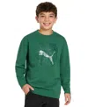 Puma X Tmnt Big Boys Relaxed Printed Sweatshirt In Vine