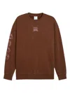 Puma X Tmnt Graphic Crew-neck Sweatshirt In Brown