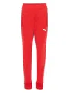 Puma Zip-pocket Track Pants In Red