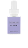 Pura Archipelago Lavande Fragrance Refill In N,a