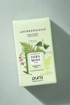 Pura X Anthropologie Fern Moss Home Fragrance Oil Refill