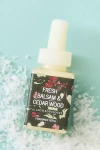 Pura X Anthropologie Fresh Balsam And Cedarwood Home Fragrance Oil Refill In Green