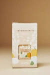 Pura X Anthropologie White Birch & Pumpkin Home Fragrance Oil Refill