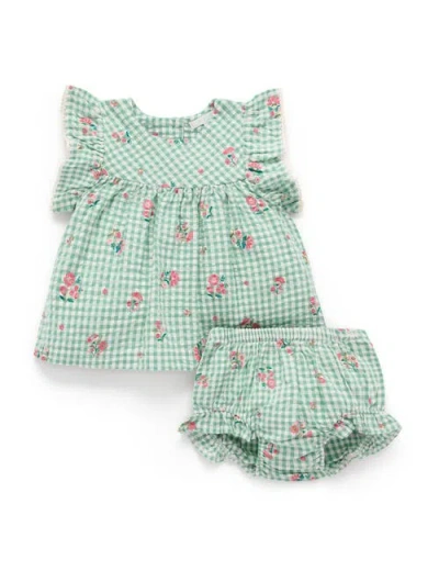 Purebaby Gingham Frida Ruffle Top & Bloomer Set In Green
