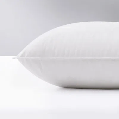 Puredown 100% Cotton 800 Fill Power European Down Pillow In White