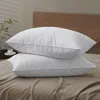 Puredown 100% Goose Feather Pillow In White
