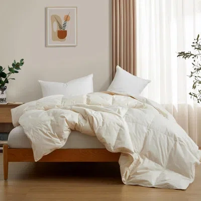 Puredown 600in³/oz Fill Power All Season Feathers Fiber And Down Comforter In Cream