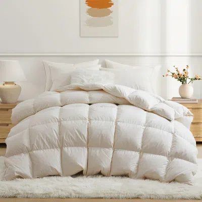 Puredown 90% White Down Winter Comforter